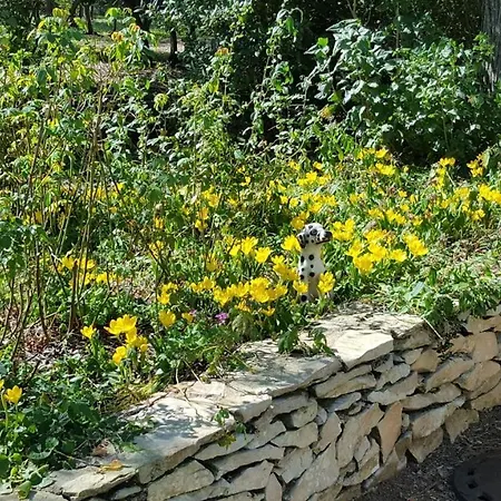 度假居 Mazet Authentique A Sur 2500 M2 Dans Un Ecrin De Verdure