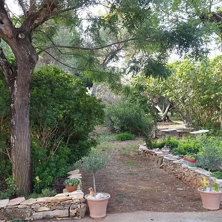 度假居 Mazet Authentique A Sur 2500 M2 Dans Un Ecrin De Verdure