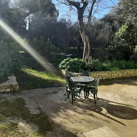 度假居 Mazet Authentique A Sur 2500 M2 Dans Un Ecrin De Verdure 尼姆